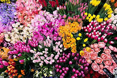 《暗黑4》实体典藏版预购开启 暴雪警告：会迅速卖光